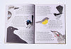 Bridget Farmer Kookaburra Children's Book