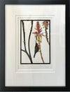 Original Artwork by Vida Pearson 'Sunbird'