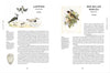 Book - Remarkable Birds