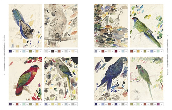 Book - Remarkable Birds