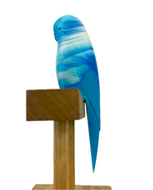  Pete Cromer Resin Budgie Bluey