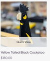 Steve Innes hand made wooden Black Cockatoo