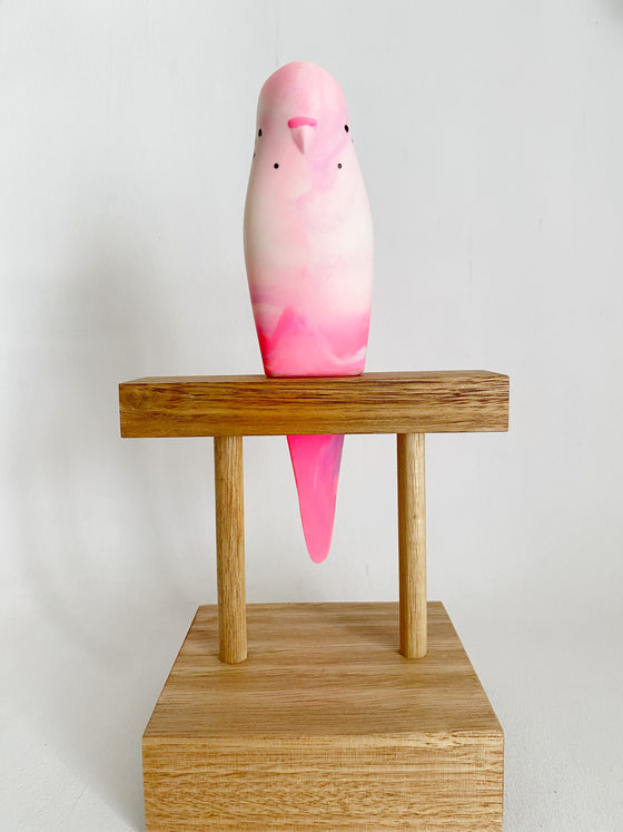 Pete Cromer Resin Budgerigar Pink