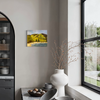 Original Artwork by Jo Dunsmuir 'The View from Here'