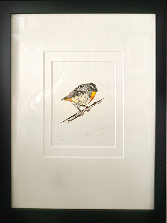 Original Artwork by Vida Pearson 'Spotted Pardolote'