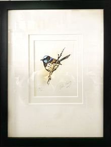  Original Artwork by Vida Pearson 'Blue Wren'