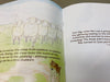 Book 'Rex the Sheep Dog That Isn't a Sheep Dog'