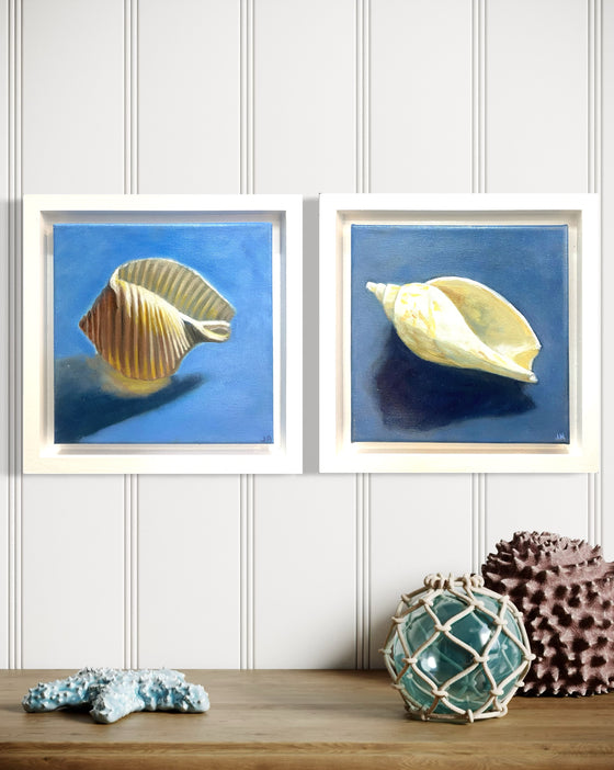 Original Artwork by Julie Hobbs 'Conch Shell'