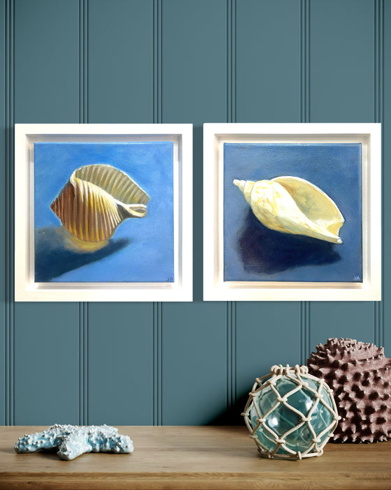 Original Artwork by Julie Hobbs 'Tun Shell'