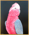 Original Artwork by Terri Pollock 'Galah'