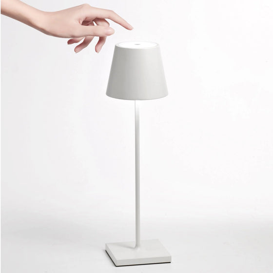 Zaffarano LED Rechargeable Lighting