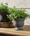 French Georgio Small Planter