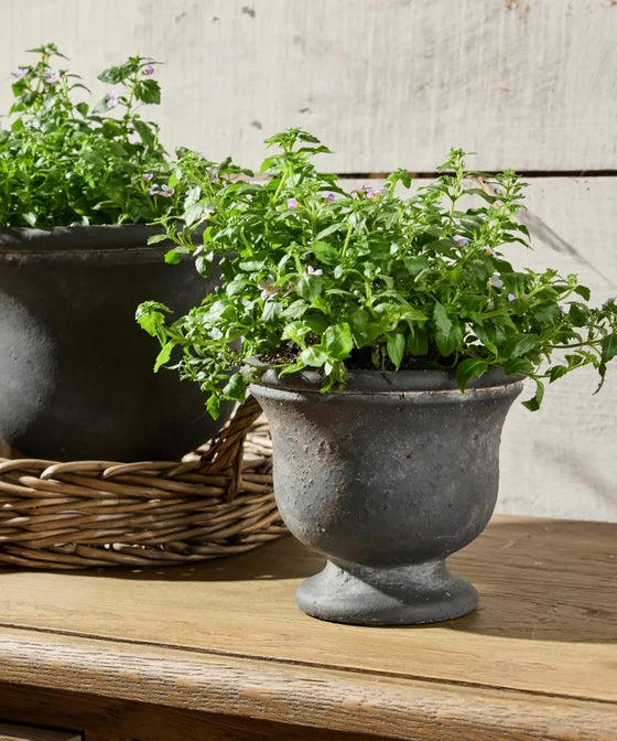 French Georgio Small Planter