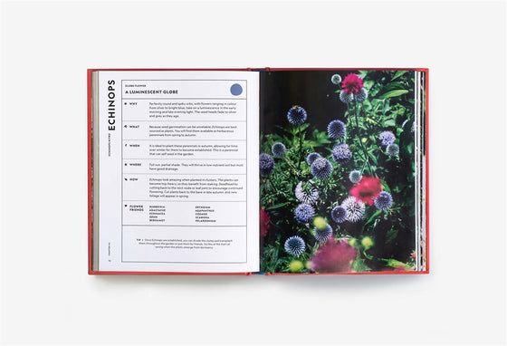 Book 'Super Bloom Handbook'