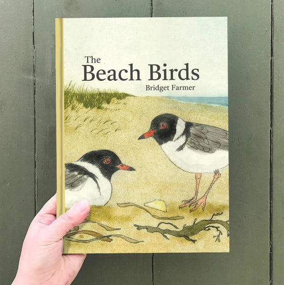 Bridget Farmer Beach Birds Children's Book