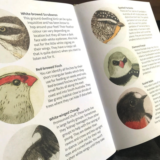 Bridget Farmer Bush Birds Children's Book