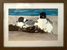 Original Artwork by Vicky Thursfield 'Hooded Plovers at Marengo'