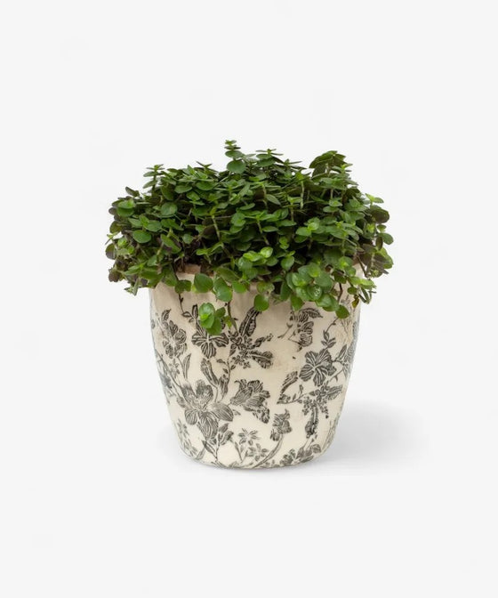 French Country Black Floral Pot