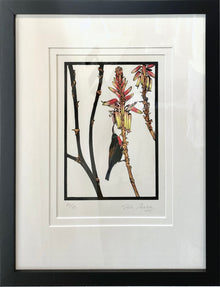  Original Artwork by Vida Pearson 'Sunbird'