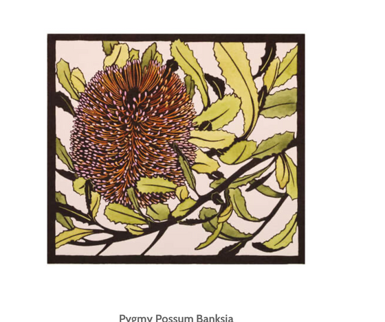 Original Artwork by Vida Pearson 'Pygmy Possum Banksia'