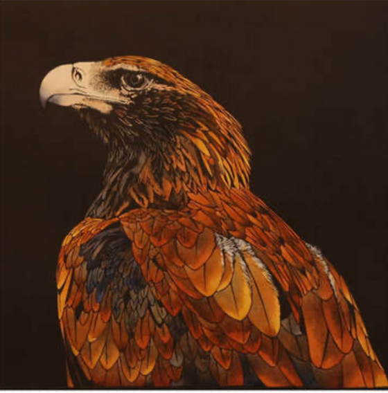 Original Artwork by Vida Pearson 'Wedged Tail Eagle'